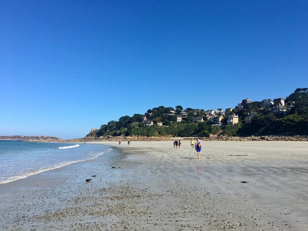 People on beach against clear blue sky