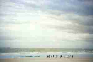 Photo people at beach against cloudy sky