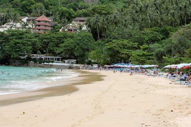 People at beach against green trees