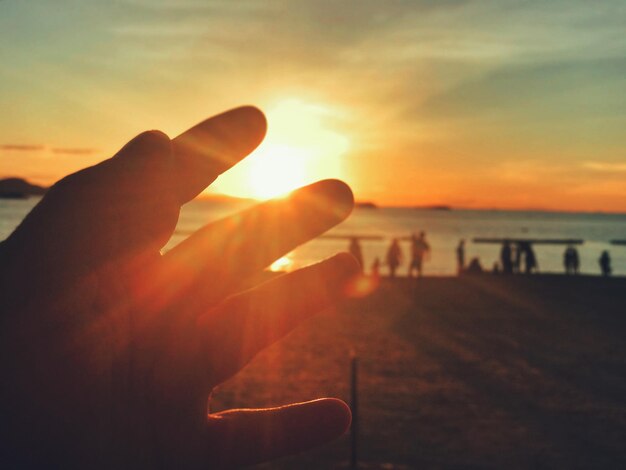 People on beach during sunset