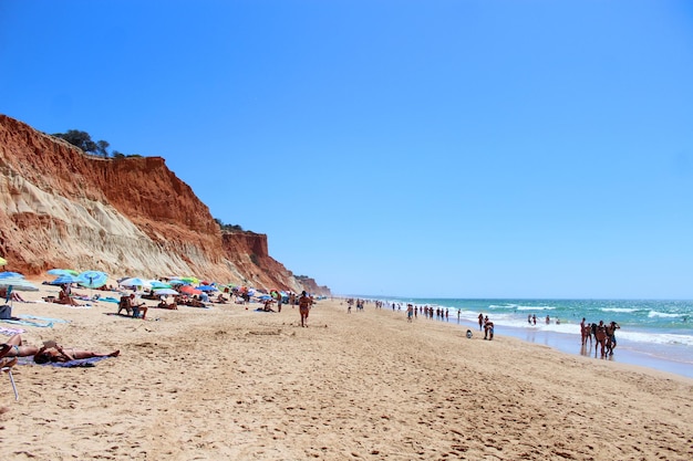 People at beach