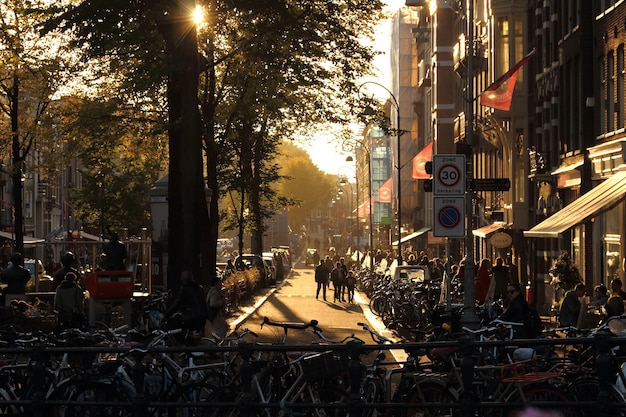 People and bicycles on street in city