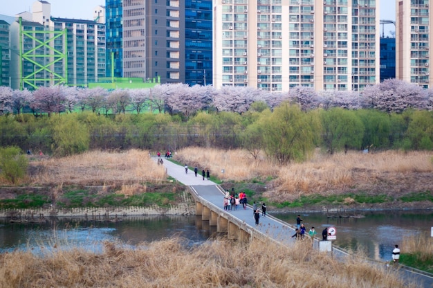 사진 하늘을 배경으로 도시에서 강을 따라 사람들이