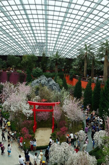 Foto la gente vicino al cancello dei torii e le piante nei giardini vicino alla baia