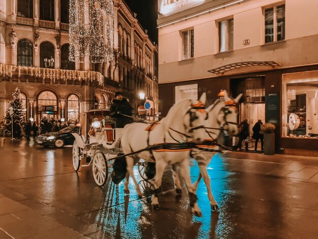 Foto gente in città