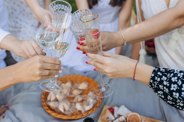 People clinking glasses with wine on the summer picnic