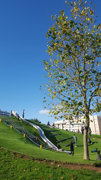 写真 公園で楽しんでいる人々