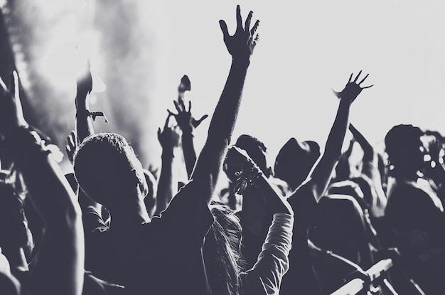 음악 콘서트 를 즐기는 사람 들