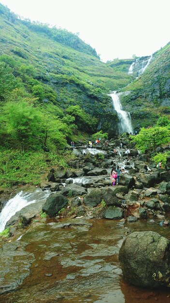 Foto persone che si godono una cascata nella foresta