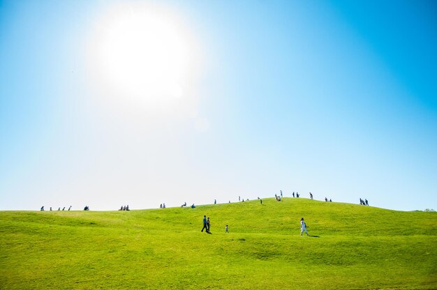 Photo people on field against clear blue sky