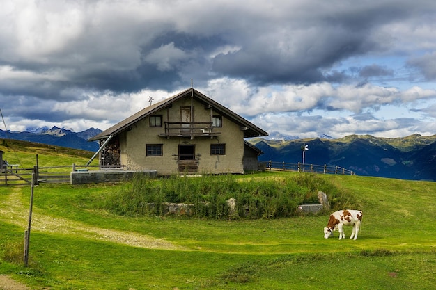 Foto gente sul campo contro il cielo