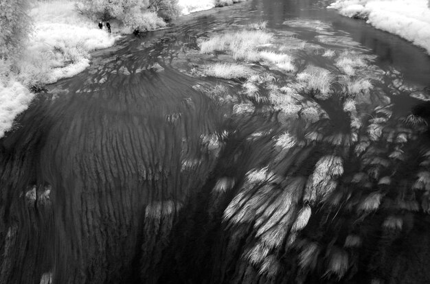 写真 湖で釣りをしている人々