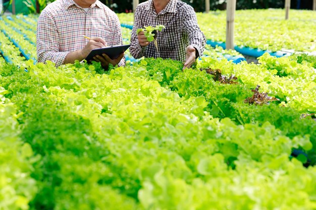 陸上で花をかせる植物の中の人々