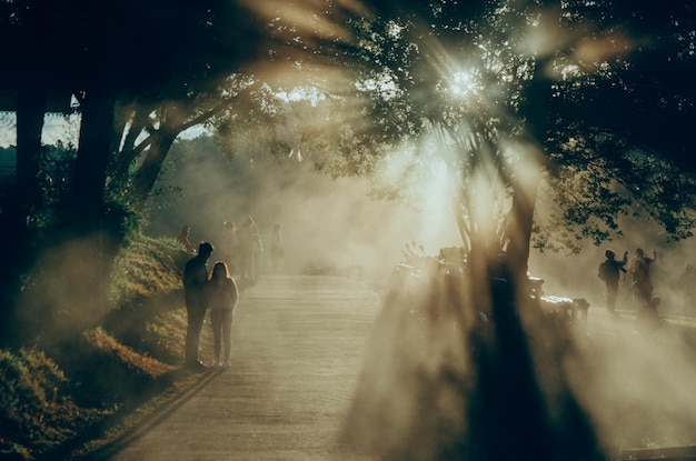 Foto gente sul sentiero nel parco