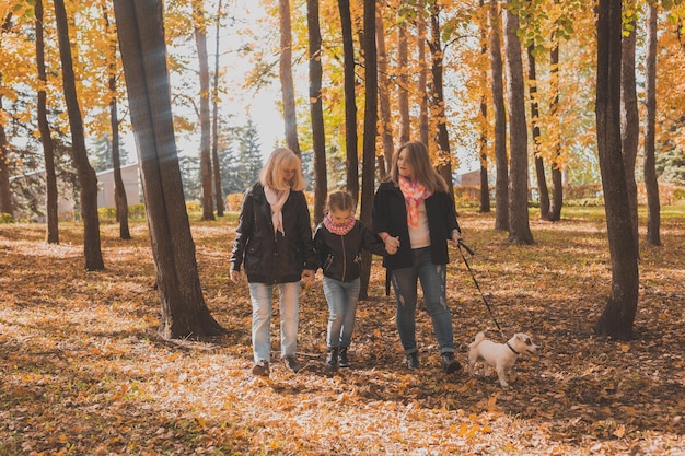 Foto persone nella foresta durante l'autunno