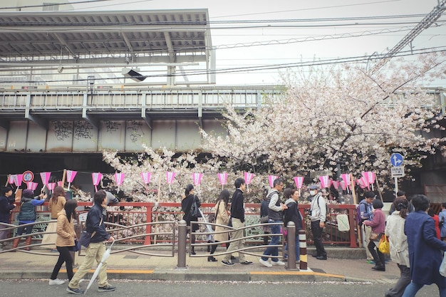 Photo people in front of cherry blossom and building