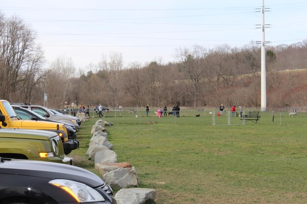 People on grassy field