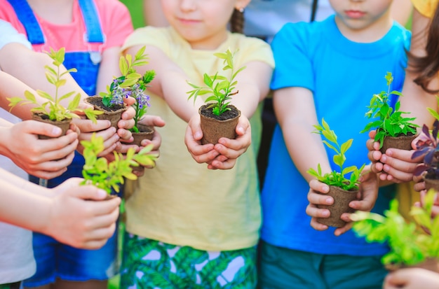 People Hands Cupping Plant Nurture Environmental