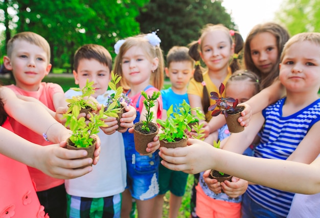 People Hands Cupping Plant Nurture Environmental