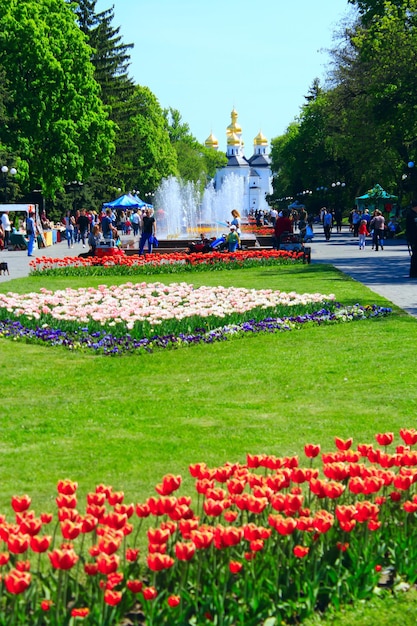 Photo people have a rest in city park with tulips