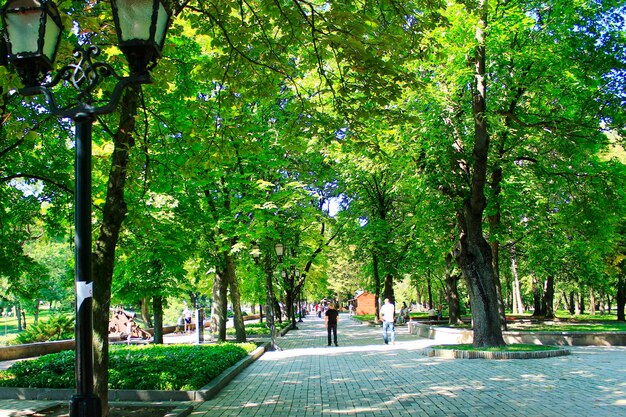 People having a rest in city park with big trees City park Walking along beautiful city park Couple vacation Summer holidays Family vacation Travel concept