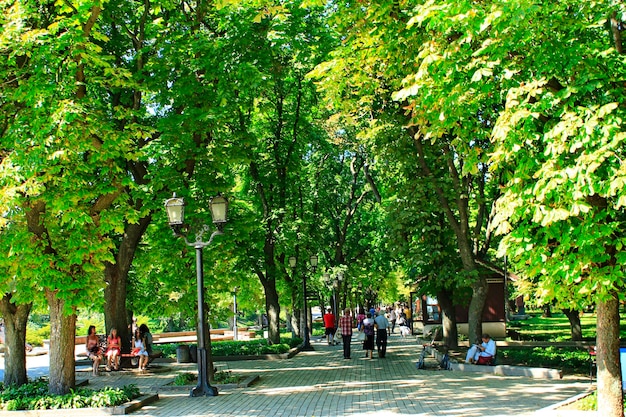 People having a rest in city park with big trees City park Walking along beautiful city park Couple vacation Summer holidays Family vacation Travel concept