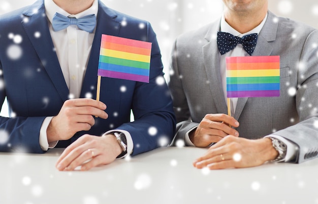 people, homosexuality, same-sex marriage and love concept - close up of happy male gay couple in suits and bow-ties with wedding rings holding rainbow flags over snow effect