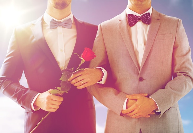 Foto persone, omosessualità, matrimonio omosessuale e concetto di amore - primo piano di felice coppia gay maschile con fiore di rosa rossa che si tiene per mano sul matrimonio sopra il cielo e lo sfondo del sole
