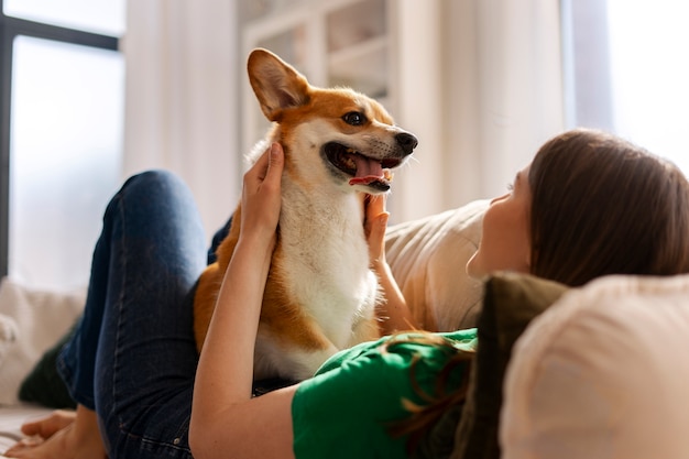 犬を愛する屋内の人々
