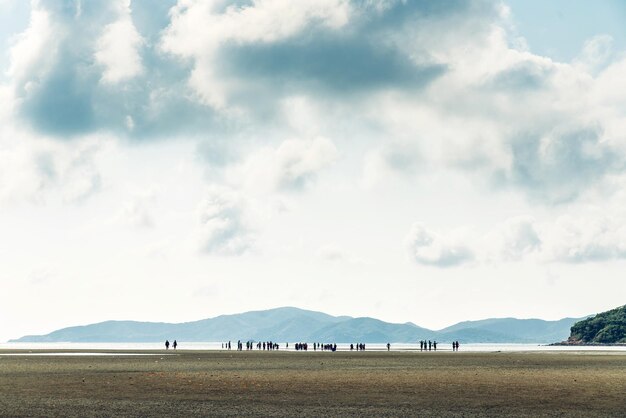 Photo people on land by sea against sky