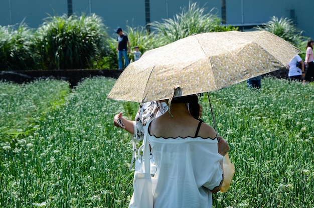 People in Leek chives field