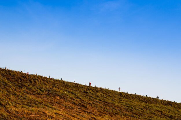 写真 明るい青い空に照らされたフィールドの人々