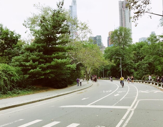 写真 セントラルパークの道路の人々