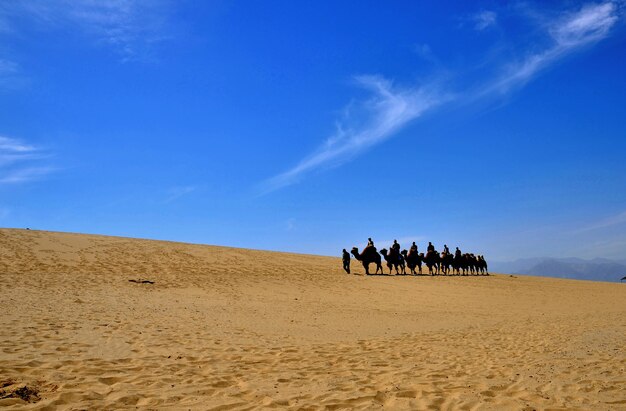 사진 푸른 하늘을 배경으로 사막의 모래 언덕에 있는 사람들