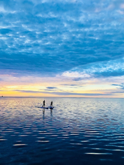 夕暮れの空に向かって海でパドルボードをしている人々