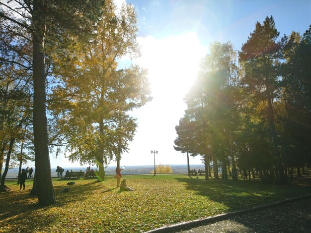 Foto gente in parco contro il mare