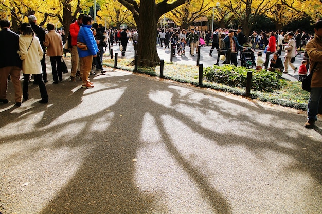 秋の公園にいる人々