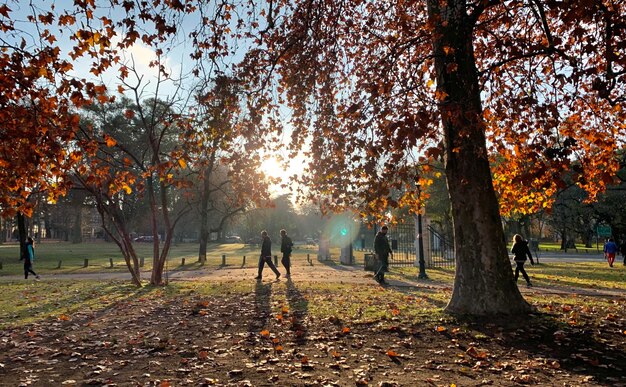 People in park during autumn