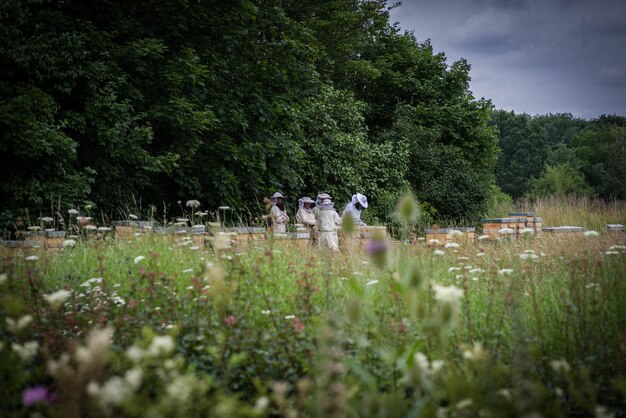 Foto persone nel parco