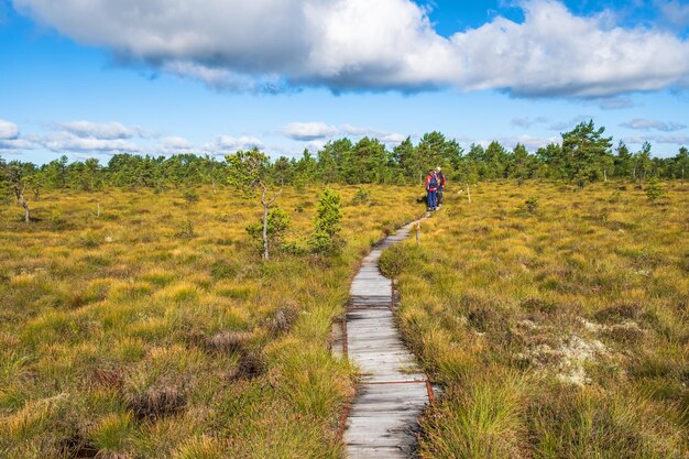 Photo people on a path at a raised bog