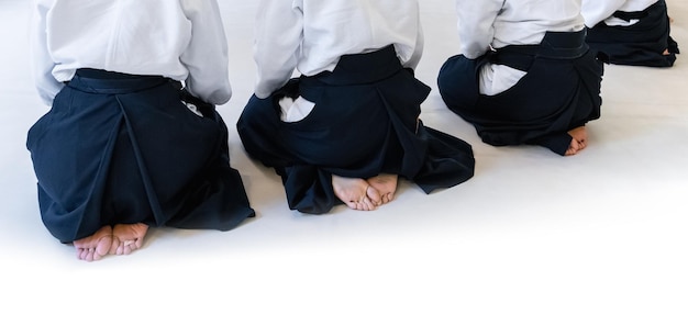 People practicing aikido in a dojo background