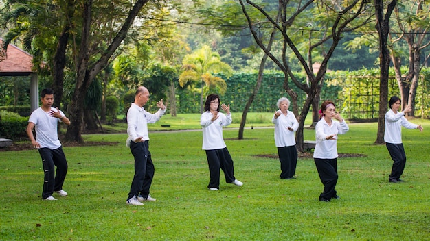 公園で太極拳を練習する人々