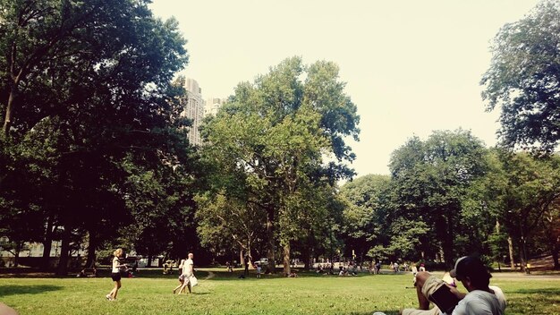 Photo people relaxing at park against sky