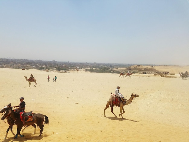 Foto persone che cavalcano cammelli e cavalli nel deserto