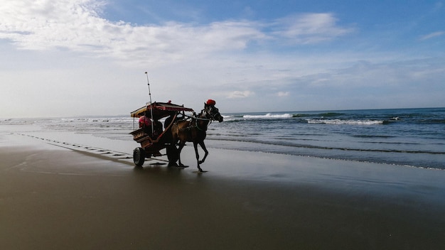 People riding horse on beach against sky