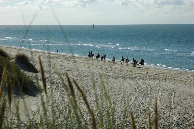 People riding horses at beach against sky