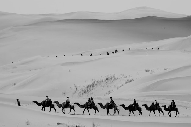 Photo people riding horses in desert