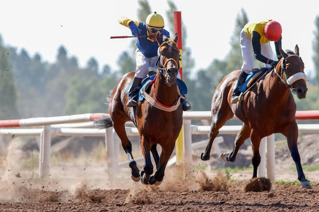 people riding horses on dirt road
