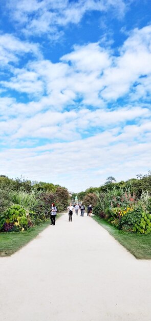 People on road amidst trees against sky