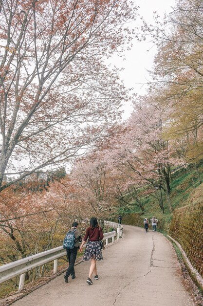 하늘 을 배경 으로 나무 들 가운데 도로 에 있는 사람 들